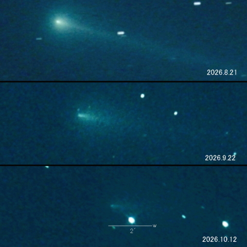 220P(McNaught)の変化