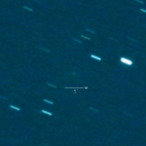112P（Urata-Niijima）
