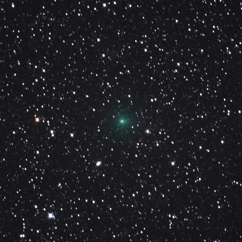 C/2013R1（ラブジョイ彗星）