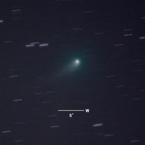 C/2012K1（パンスターズ彗星)