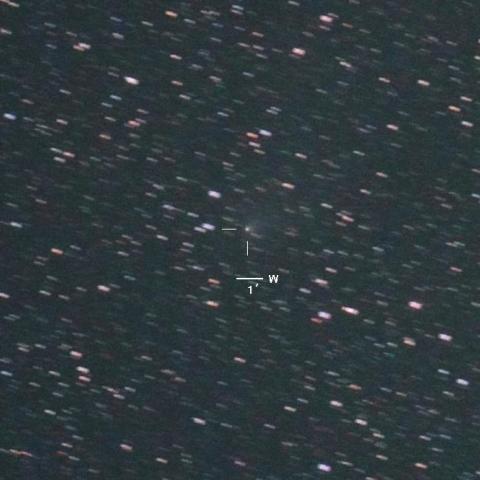 C/2013R1（ラブジョイ彗星）