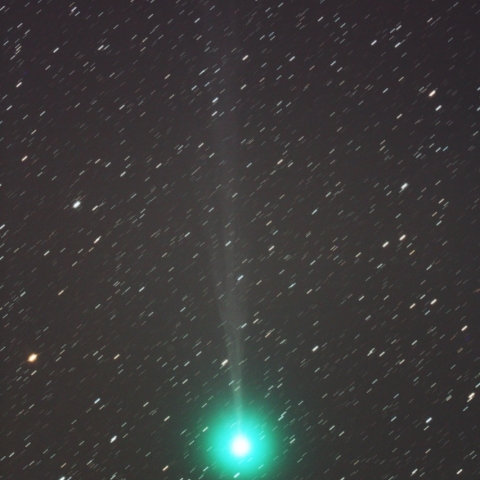 C/2014Q2（ラブジョイ彗星)