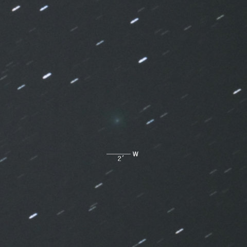 141P（マックホルツ第２彗星）