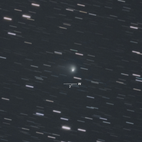 C/2013X1（パンスターズ彗星）