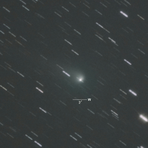 C/2013X1（パンスターズ彗星）