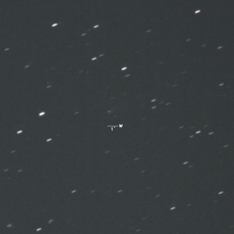 116P（ヴィルド第４彗星）