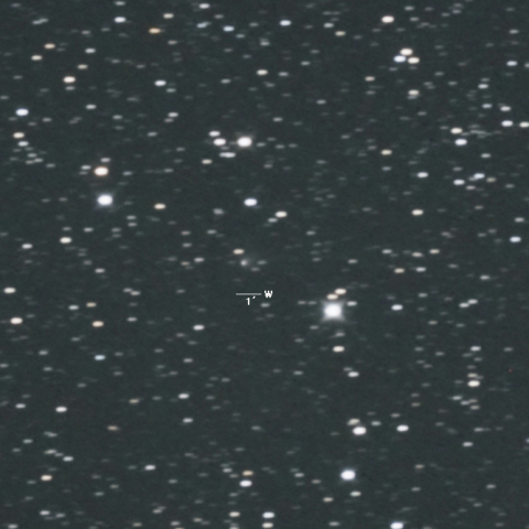 81P（ヴィルト第２彗星）