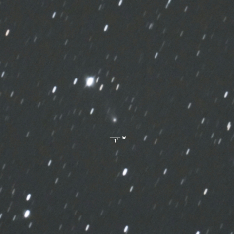 C/2014W2（パンスターズ彗星）