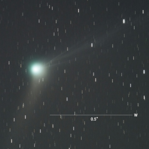 C/2013US10（カタリナ彗星）