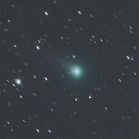 C/2013X1（パンスターズ彗星）