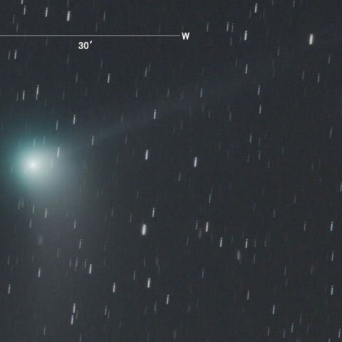 C/2013US10（カタリナ彗星）