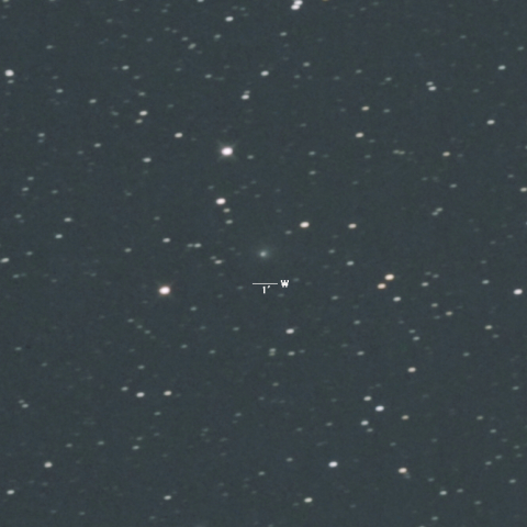 81P（ヴィルト第２彗星）