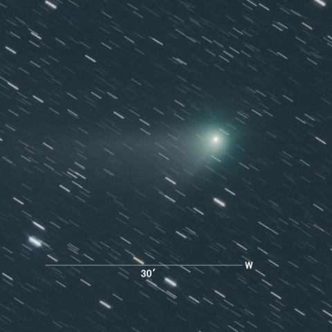 C/2013US10（カタリナ彗星）