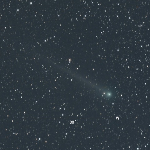 C/2013US10（カタリナ彗星）