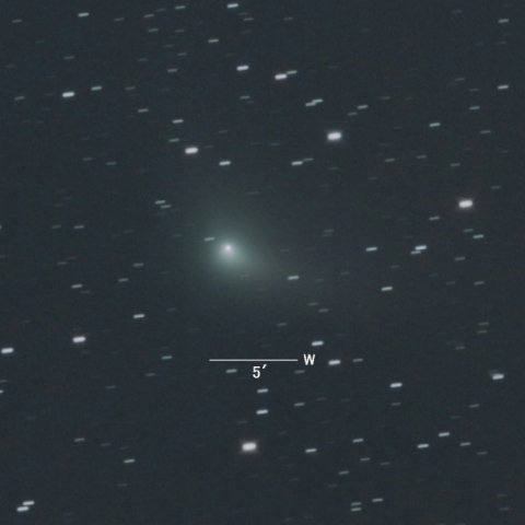 C/2014S2（パンスターズ彗星）