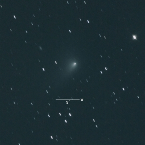 C/2014S2（パンスターズ彗星）