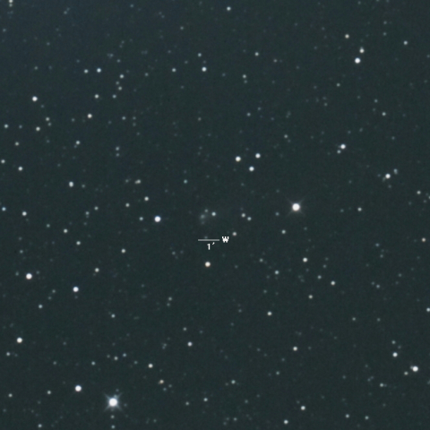 116P（ヴィルト彗星）