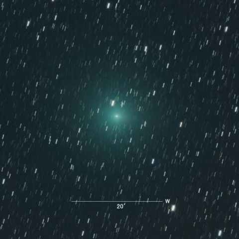 252P（リニア彗星）