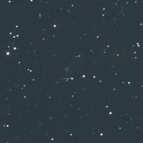 116P（ヴィルト彗星）