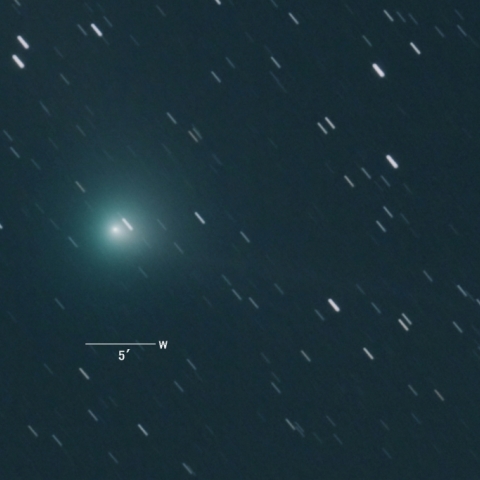 C/2013X1（パンスターズ彗星）