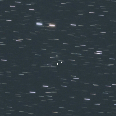 C/2016A8（リニア彗星）