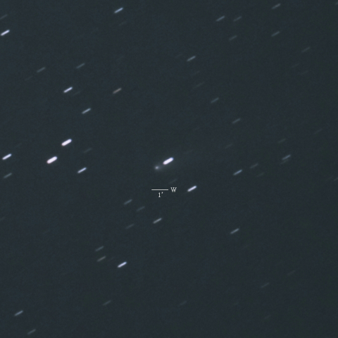 43P（ヴォルフ・ハリントン彗星）