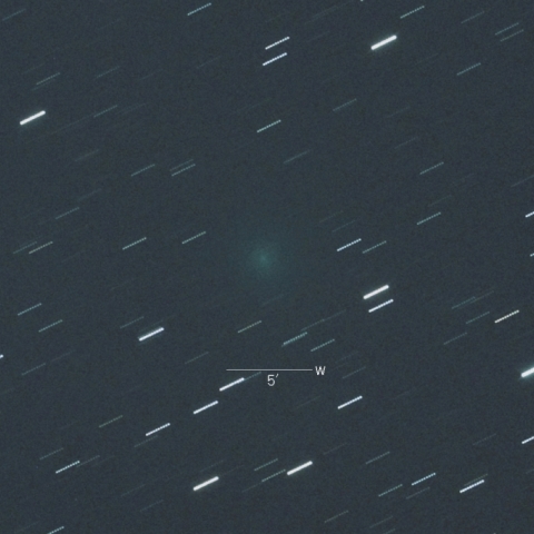 C/2016U1（ネオワイズ彗星）