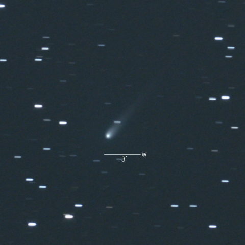 C/2015V2（ジョンソン彗星）