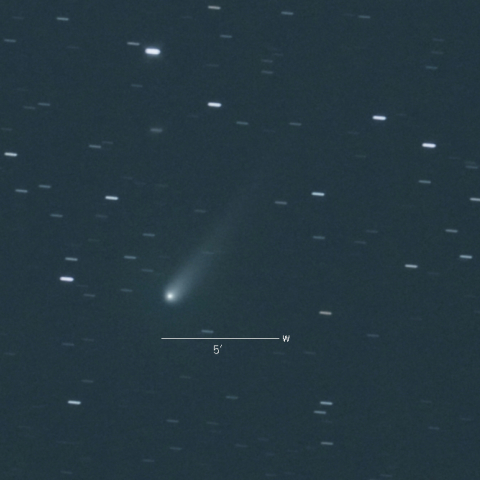 C/2015V2（ジョンソン彗星）