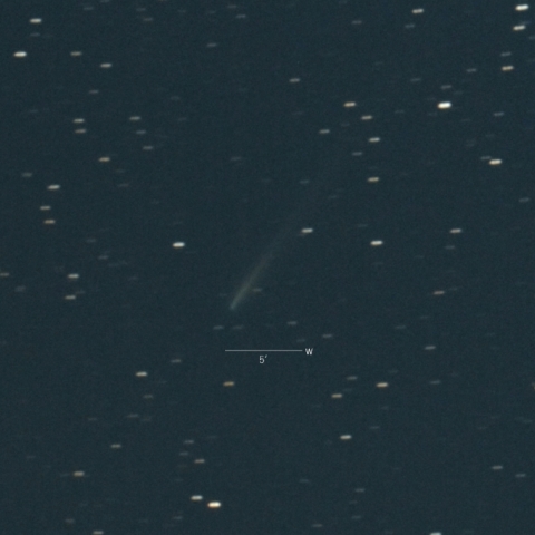 C/2017E4(ラブジョイ彗星)