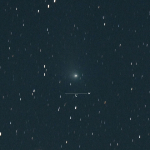 C/2015V2（ジョンソン彗星）