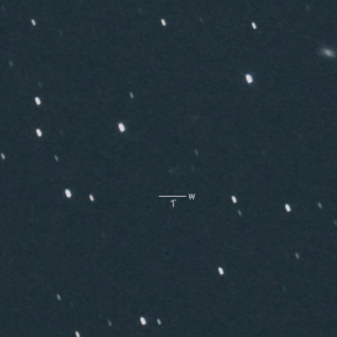 355P（リニア・ニート彗星）