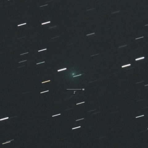 24P（ショーマス彗星）