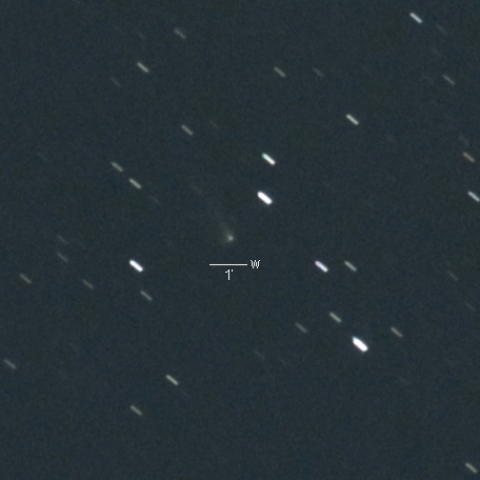 C/2015V1（パンスターズ彗星）