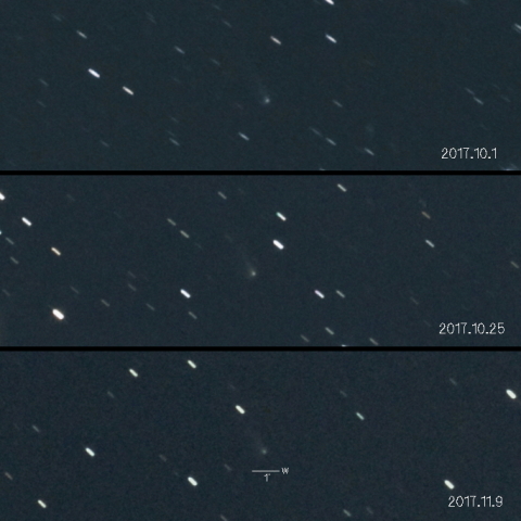C/2015V1（パンスターズ彗星）の変化
