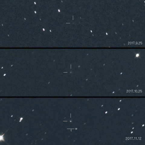 355P（リニア・ニート彗星）の増光