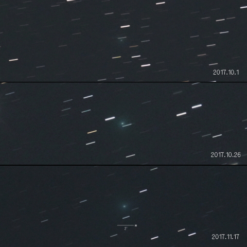 24P（ショーマス彗星）の変化