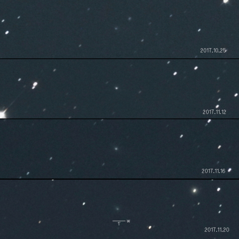 355P（リニア・ニート彗星）のアウトバースト？