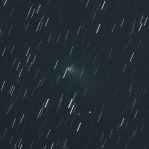 C/2017T1（ハインズ彗星）