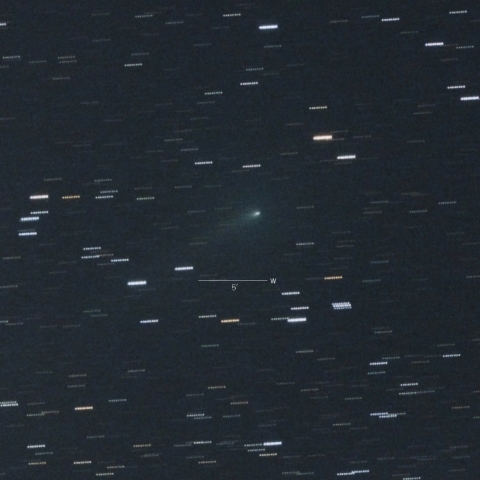 C/2017T1(ハインズ彗星)