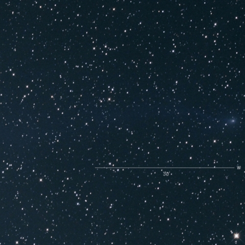 C/2016R2（パンスターズ彗星）