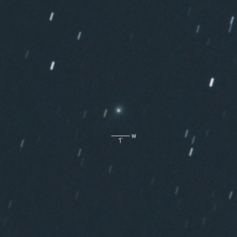 C/2016N6（パンスターズ彗星）