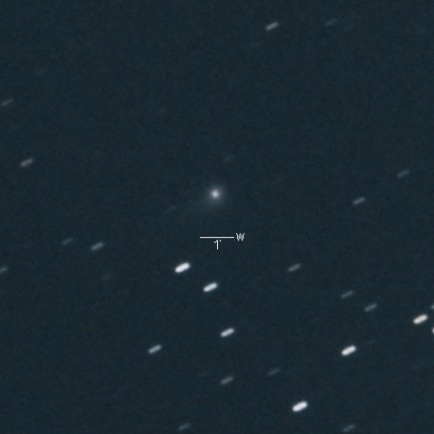 C/2016N6（パンスターズ彗星）