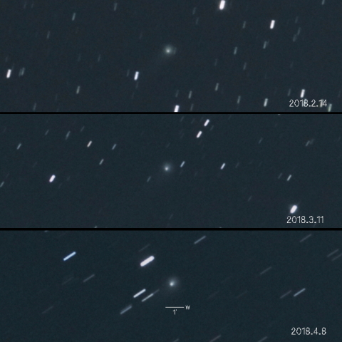 C/2015O1（パンスターズ彗星）の変化