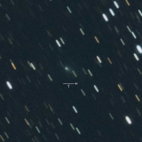 21P（ジャコビニ・チンナー彗星）