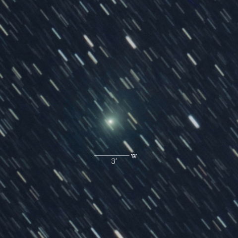 C/2016M1（パンスターズ彗星）