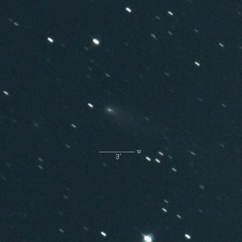 37P（フォーブス彗星）