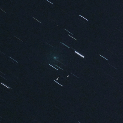 C/2018N1（ネオワイズ彗星）