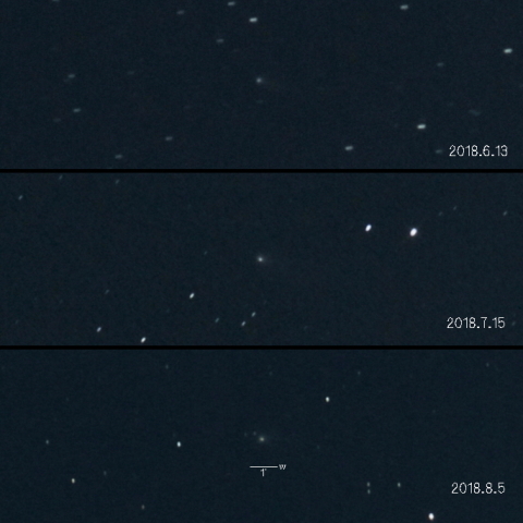 48P（ジョンソン彗星）