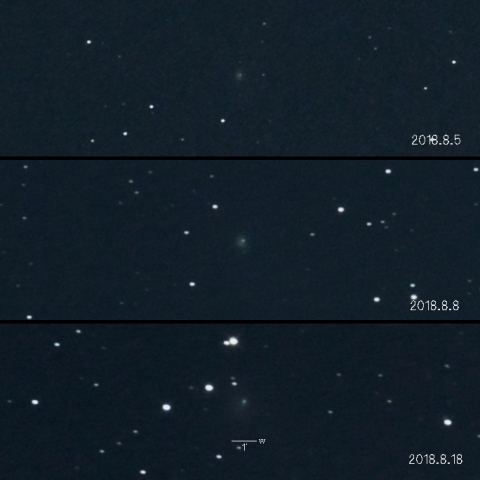 29P（シュヴァスマン・ヴァハマン彗星）の変化